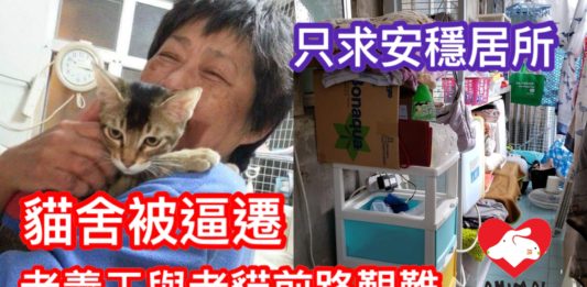 香港動物報 Hong Kong Animal Post | An Animal News and Information Platform