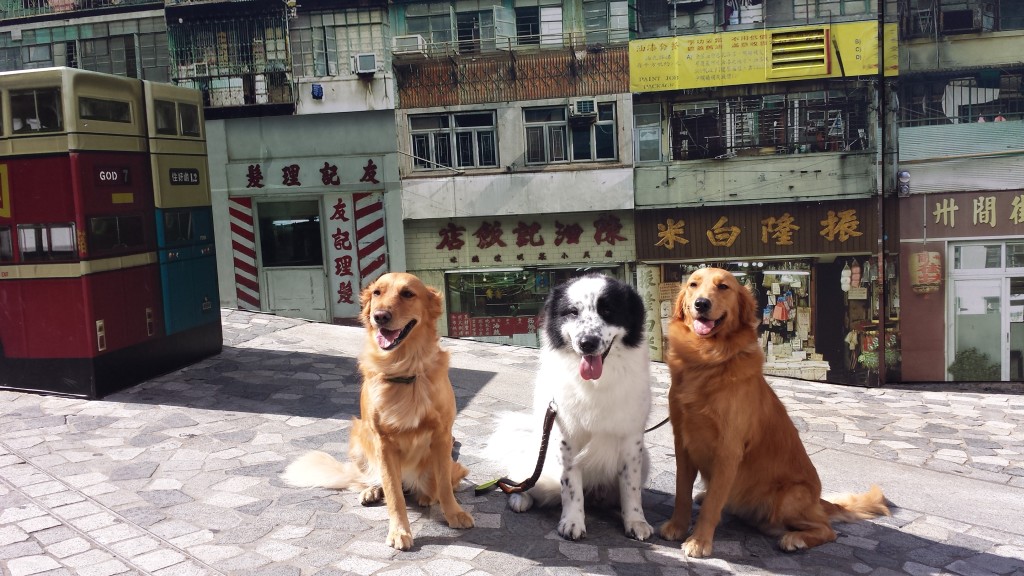 除了兩位動物報記者外，還有花咀（中）這位朋友同行。