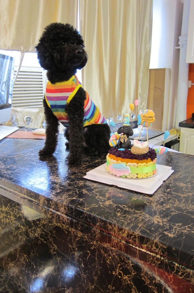 黑狗狗Pepper 生日快樂啊