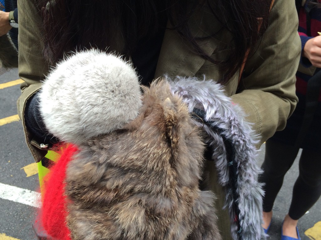 （左）冷帽上的毛毛球就是用安哥拉兔毛所製，售價不超過200元