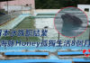 日本水族館突關門遺下海豚企鵝 海豚25平方米池內孤獨渡過8個月