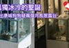 日出康城狗狗疑兩個月來長放露台 狗狗瑟縮度孤獨寒冷聖誕