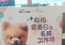 阿棍屋明日沙田舉辦狗狗領養日 十三隻型格狗狗尋家