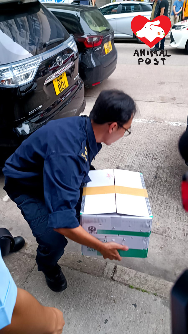愛協接報將貓救走。