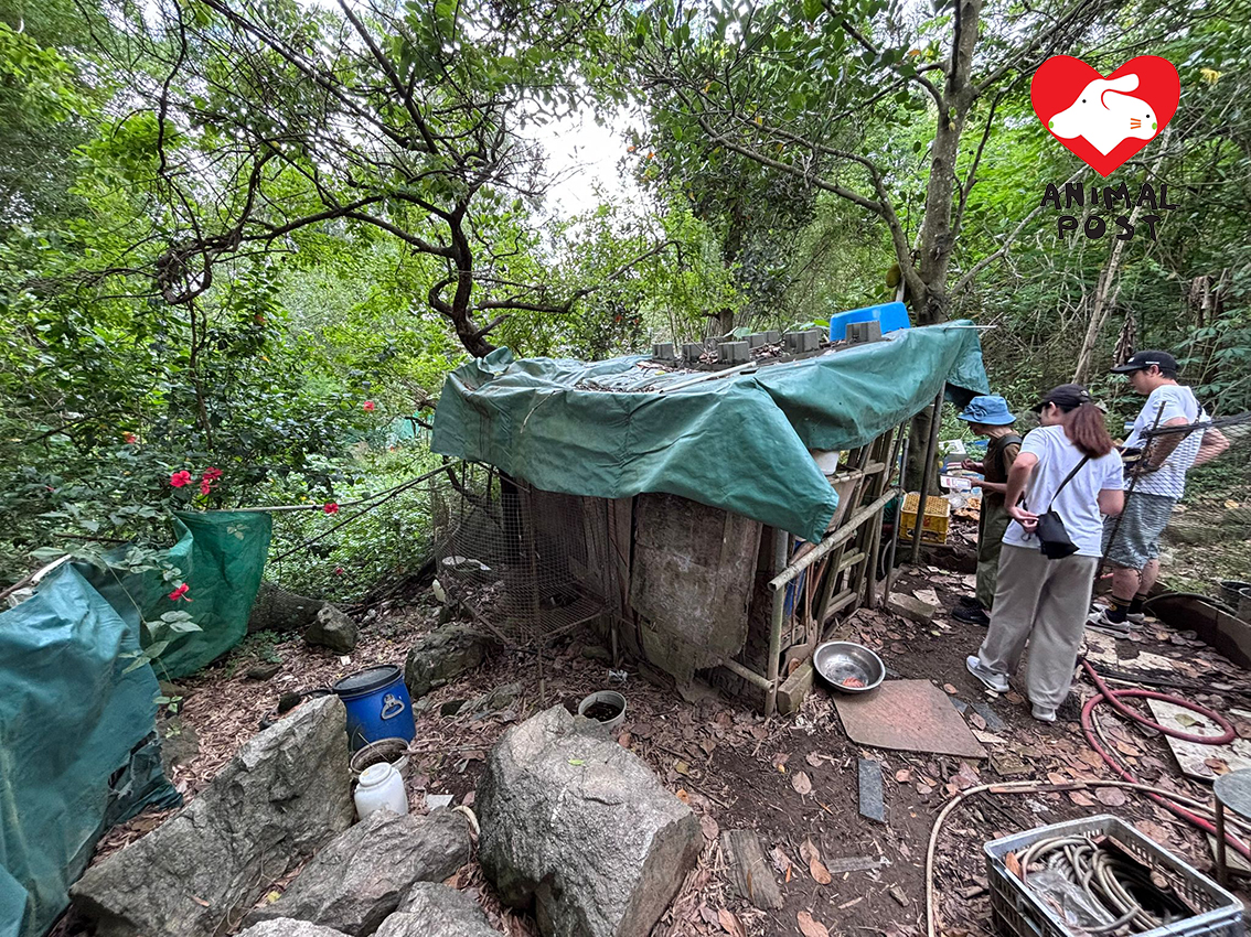 福妹所住的木棚環境惡劣,滿布垃圾。