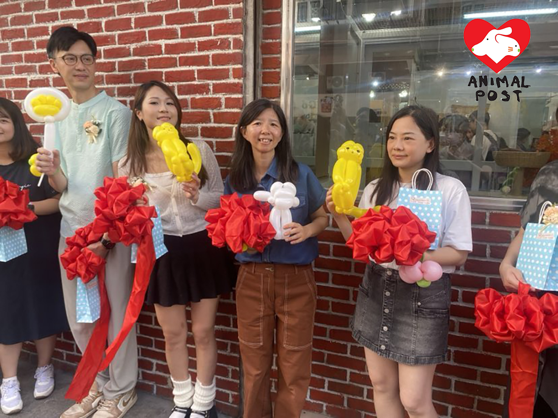 阿棍屋創辦人Ivy(中)希望領養中心能夠幫助貓貓更容易尋家。