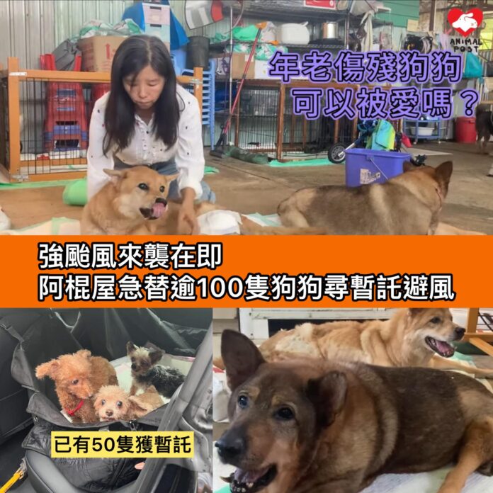 23adc06a-9855-4c13-bba2-17d096a2f703