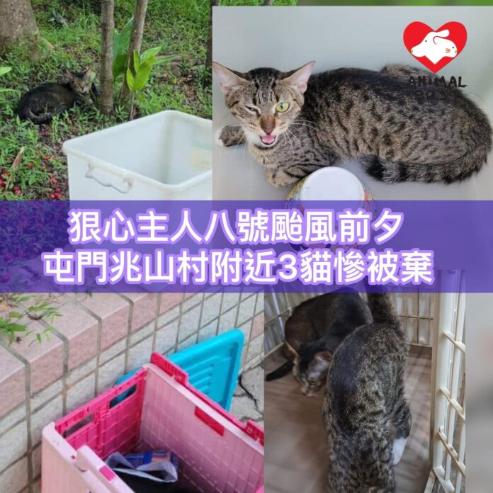 9a4b578e-888f-4bb3-81eb-24e33980633f