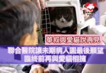 聯合醫院腫瘤科讓癌末病人與愛貓相聚 臨終前圓最後願望