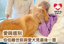 病塌中的愛與道別 伯伯離世前獲准與愛犬見最後一面