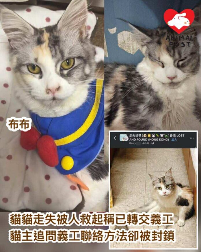 611266058_777846585343056_9127212274104362359_n