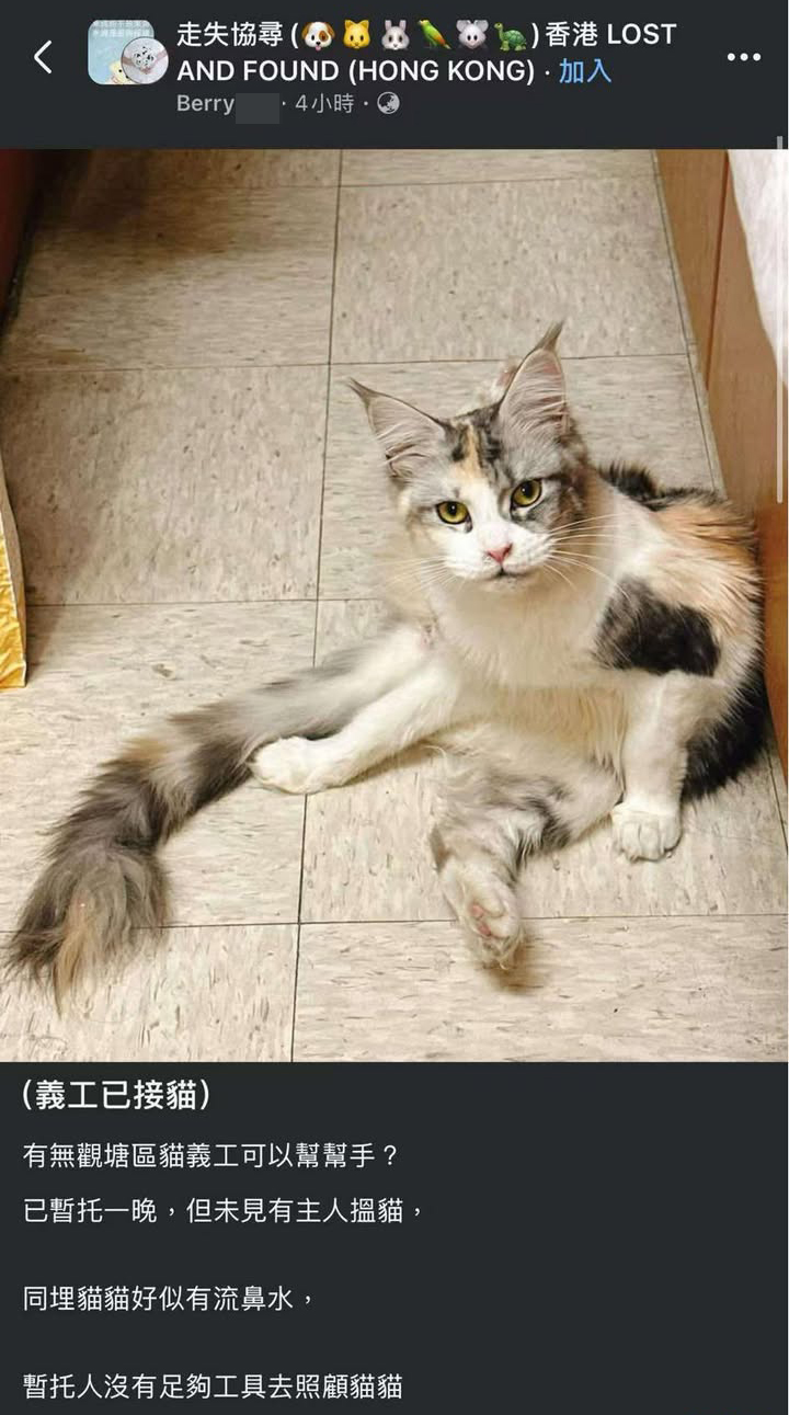 一名叫Berry的人士在網上發帖救起貓貓,惟貓主向他追問義工聯絡時,對方一直沒回答,更在昨日將貓主封鎖。