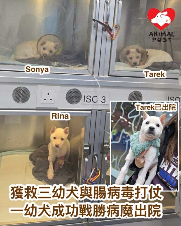 612322820_1197226672522132_2763220893503751085_n