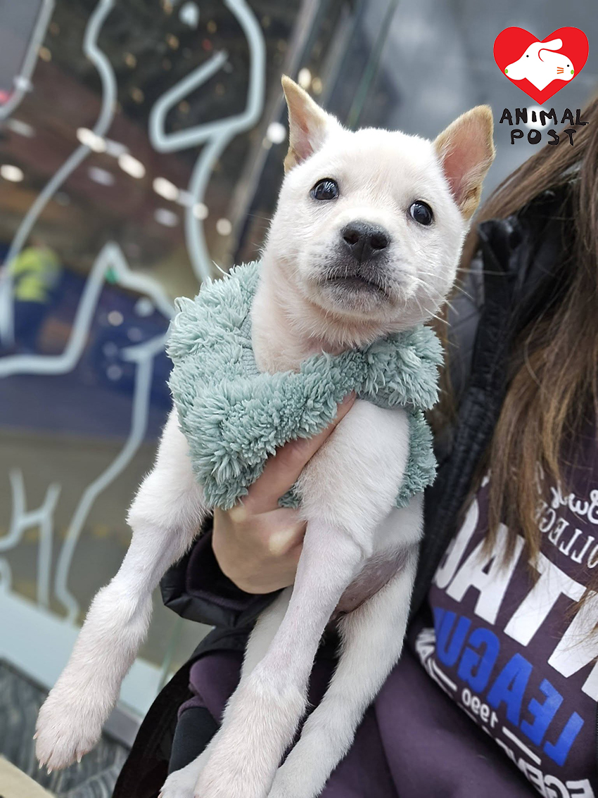 Tarek昨日戰勝病魔,順利出院。