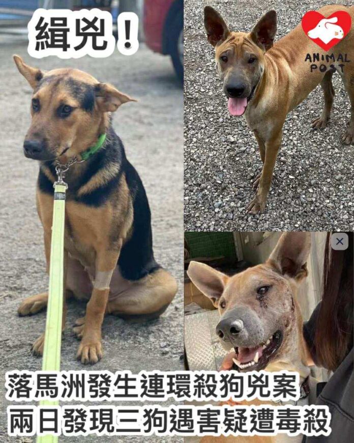 633973767_1224488089816134_2545847751082964560_n