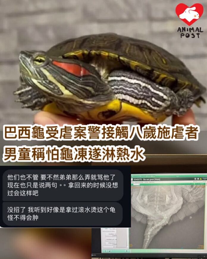 648093435_1649731329377750_7125305001113134030_n