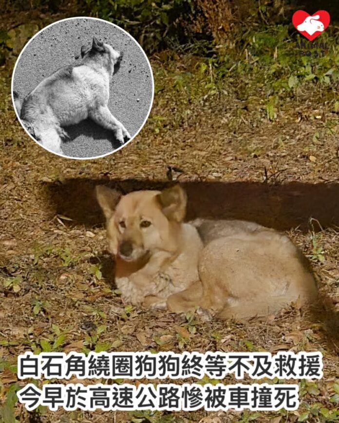 648153519_1930050454547920_7261205211238852909_n