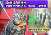 阻B被捉內情曝光 捉B者為內地旅客