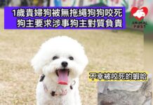 一歲貴婦狗被無拖繩狗狗咬死 狗主要求涉事狗主對質負責