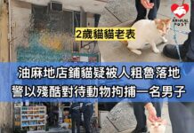 油麻地店鋪貓疑被人粗魯落地 警以殘酷對待動物拘捕一名男子