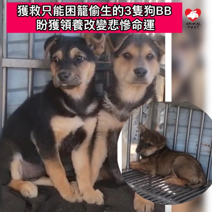 fd8f89a3-80cb-478e-9ea8-da832cdb4f4c