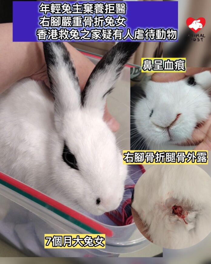 14c7c4b1-136a-4a14-8035-38703f9c3c76