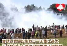 美國千名動保人士營救實驗設施中二千隻比高犬 遭催淚彈橡膠子彈驅趕