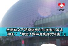 啟德有失常女子將寵物車內的狗狗扯落地 狗主:「希望不要再有狗狗受傷害!」