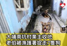 大埔南坑村業主收地 80歲老伯被漁護署捉走7隻狗 欲哭無淚盼社會人士協助