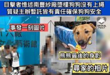 目擊者憶述南豐紗廠墮樓狗狗沒有上繩 義工指主辦有責任保護狗狗安全 團體質疑場地1米圍欄太矮