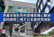 南豐紗廠對狗狗墮樓感痛心難過 暫時關閉三樓天台全面檢視設施