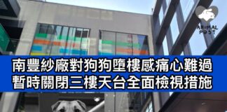 南豐紗廠對狗狗墮樓感痛心難過 暫時關閉三樓天台全面檢視設施