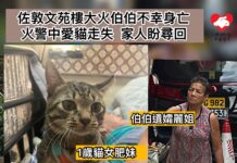 佐敦文苑樓大火伯伯不幸身亡 家中愛貓走失家人盼尋回