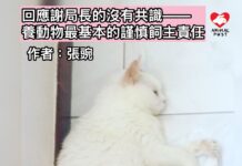 回應謝局長的沒有共識—— 養動物最基本的謹慎飼主責任(文:張豌)