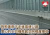 狗狗黃雨下於深圳灣公路驚惶奔跑 愛心的士司機救起交阿棍屋接收
