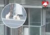 將軍澳海茵莊園有住戶讓貓貓走進露台 熱心市民冀釀悲劇前改變做法