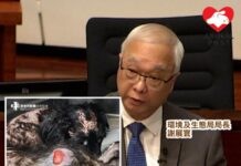 NPV批謝展寰「謹慎責無」無共識論 指現法例無法對付慢性虐待動物人士