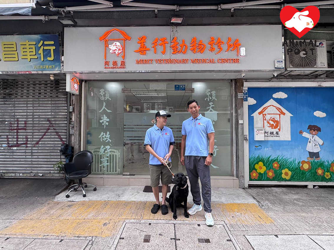 退役緝毒犬Rider早前身體不適,獲阿棍屋善行動物診所提供免費醫療。
