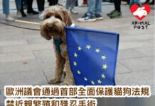 歐洲議會早前通過全面保護貓狗法規 禁止近親繁殖和殘忍手術 長期綁貓狗屬違法
