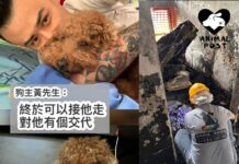 宏福苑大火離世狗狗多多回家了 狗主今偕善終公司上樓成功尋回愛犬遺體