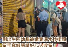 剛出生四幼貓被遺棄深水埗街頭 留手寫紙張請好心人收留