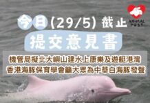機管局擬北大嶼山建水上康樂及遊艇港灣 環評諮詢今晚截止 香港海豚保育學會籲大眾為中華白海豚發聲