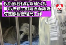 投訴獸醫程序被指繁瑣冗長 申訴專員主動調查漁護署於獸醫管理局行政工作
