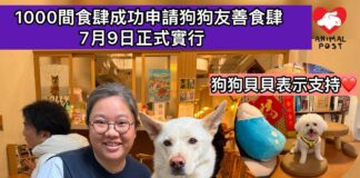1000間食肆成功申請狗狗友善食肆 7月9日正式實行