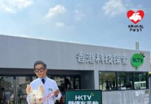 PETA香港成員走進HKTVmall母公司股東大會 要求王維基停止恐怖動物實驗