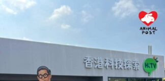 PETA香港成員走進HKTVmall母公司股東大會 要求王維基停止恐怖動物實驗