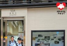 元朗一狗場女負責人帶狗到獸醫診所求醫後離開 狗狗後腳壞死疑涉殘酷對待動物
