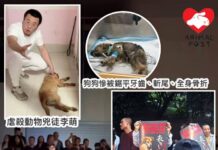 重慶男子扮領養騙取貓狗瘋狂虐殺 逾百民眾包圍居所外討公道