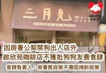 1000食肆獲批狗狗友善食肆 啟欣苑咖啡店被指房署公契禁狗出入店外