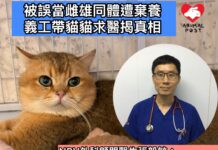張毅敏醫生:真雌雄同體罕見 多屬「假雌雄同體」 矯形手術可回復正常